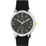 ساعت مچی مردانه تایمکس مدل TW2W33900